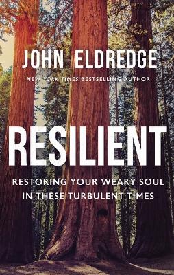 Resilient: Restoring Your Weary Soul in These Turbulent Times book