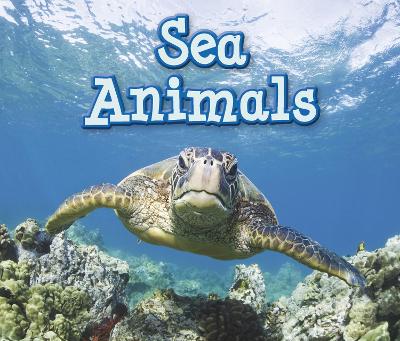 Sea Animals book