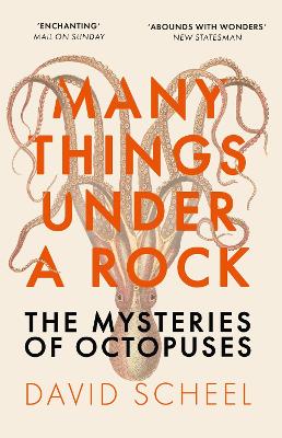 Many Things Under a Rock: The Mysteries of Octopuses book