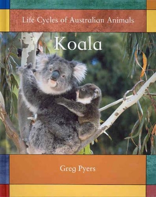 Koala by Greg Pyers