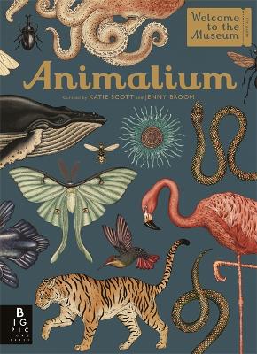 Animalium book