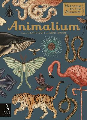 Animalium book