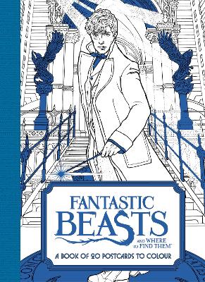 Fantastic Beasts and Where to Find Them: A Book of 20 Postcards to Colour book