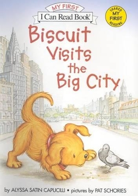 Biscuit Visits The Big City book