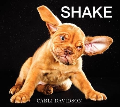 Shake by Carli Davidson