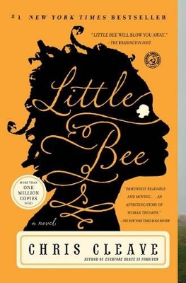 Little Bee book