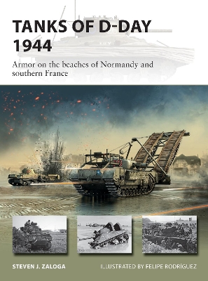 Tanks of D-Day 1944: Armor on the beaches of Normandy and southern France book