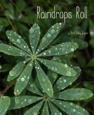 Raindrops Roll book