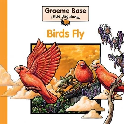 Little Bug Books: Birds Fly book