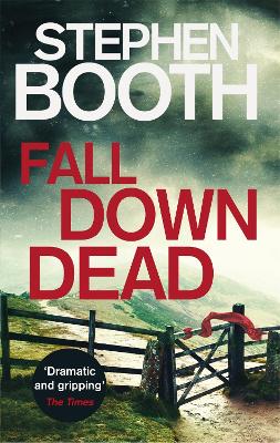 Fall Down Dead book