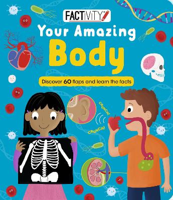 Factivity Your Amazing Body: Discover 60 Flaps and Learn the Facts book