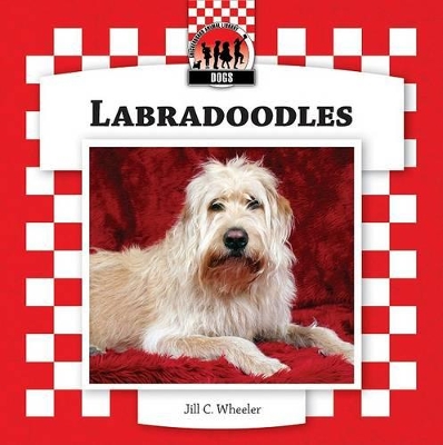 Labradoodles by Jill C Wheeler