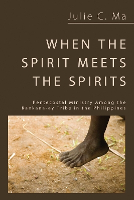 When the Spirit Meets the Spirits book