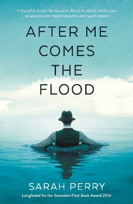 After Me Comes the Flood book