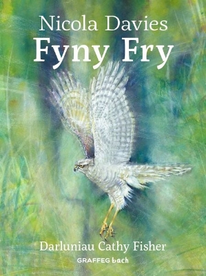 Fyny Fry book