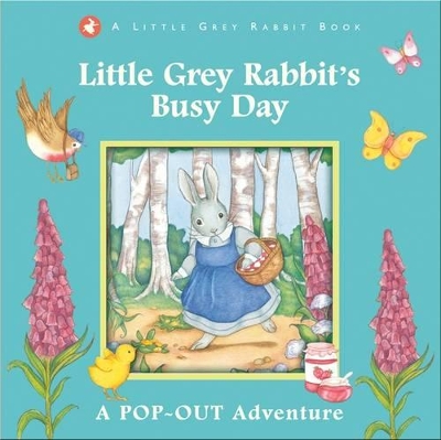 Little Grey Rabbit's Busy Day book