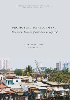 Promoting Development book