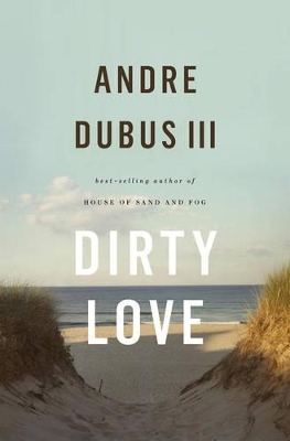Dirty Love book