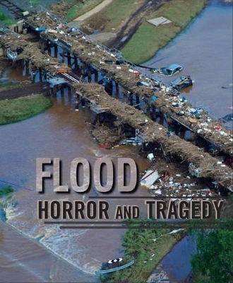 Flood Horror and Tragedy book