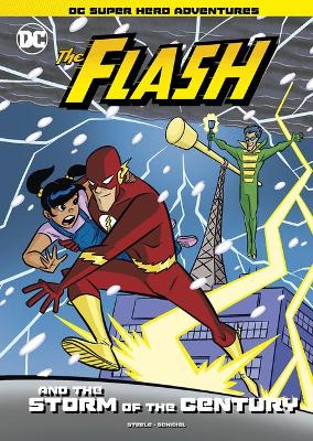 The Flash and the Storm of the Century by Michael Anthony Steele