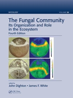 Fungal Community by John Dighton