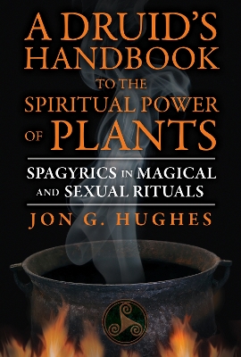 Druid's Handbook to the Spiritual Power of Plants book