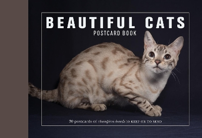Beautiful Cats Postcard Book book