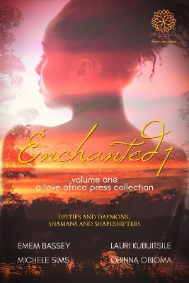 Enchanted: Volume One book