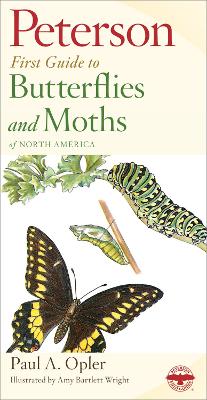 First Guide to Butterflies book