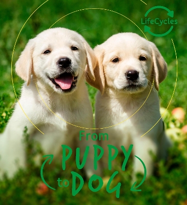 Lifecycles - Pup To Dog book