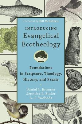 Introducing Evangelical Ecotheology book