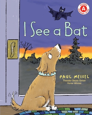 I See a Bat book