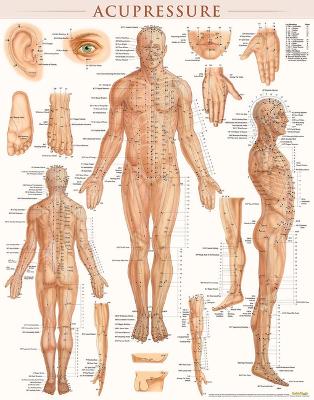 Acupressure-Laminated book