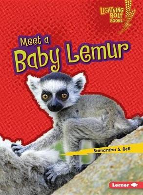 Meet a Baby Lemur book