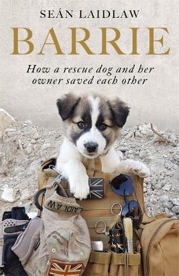 Barrie: How a rescue dog and her owner saved each other by Sean Laidlaw