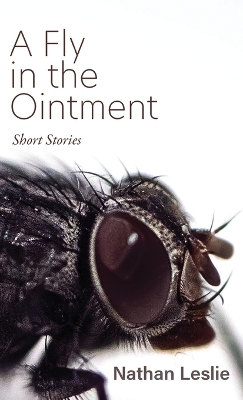 A Fly in the Ointment: Short Stories book