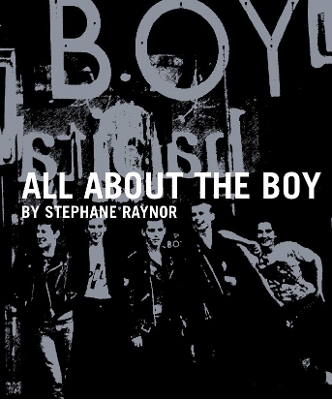 All About the Boy book