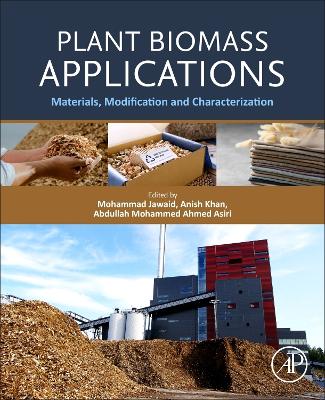 Plant Biomass Applications: Materials, Modification and Characterization book