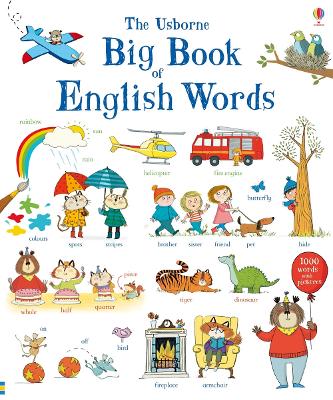 Big Book of English Words book
