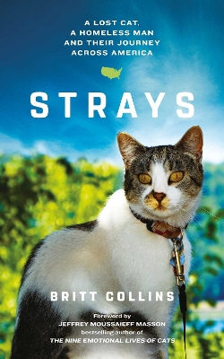 Strays book