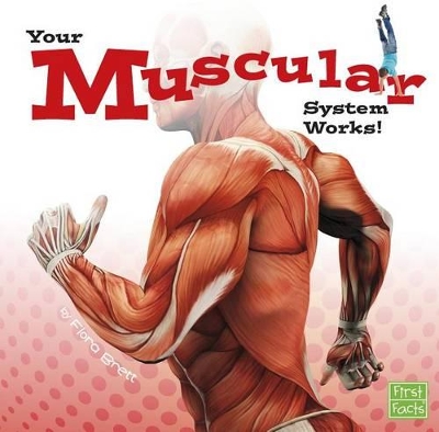 Your Muscular System Works! book