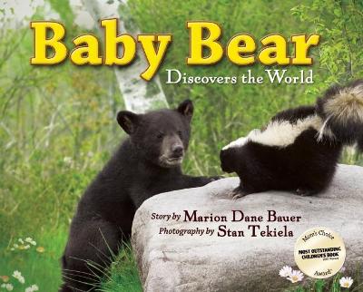 Baby Bear Discovers the World book