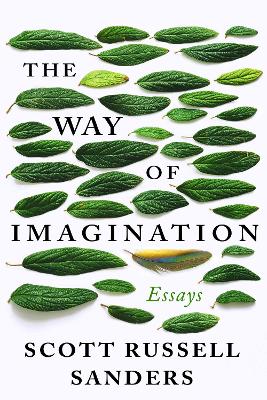 The Way of Imagination: Essays book