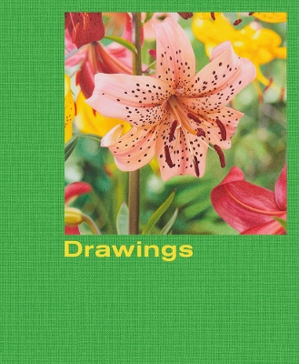 Mathew Cerletty: Drawings book