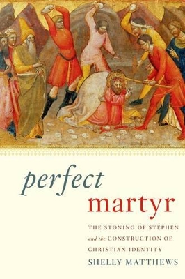 Perfect Martyr by Shelly Matthews