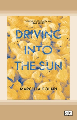 Driving into the Sun by Marcella Polain