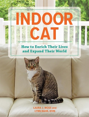Indoor Cat: How to Enrich their Lives and Expand their World book