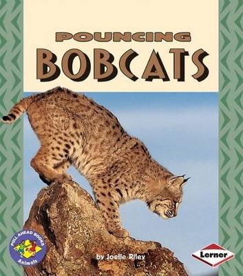Pouncing Bobcats book