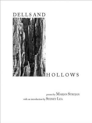 Dells and Hollows book