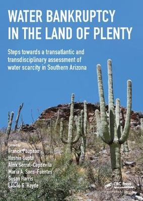 Water Bankruptcy in the Land of Plenty book